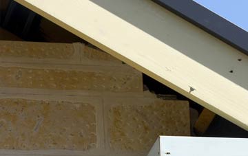 soffit repair The Throat